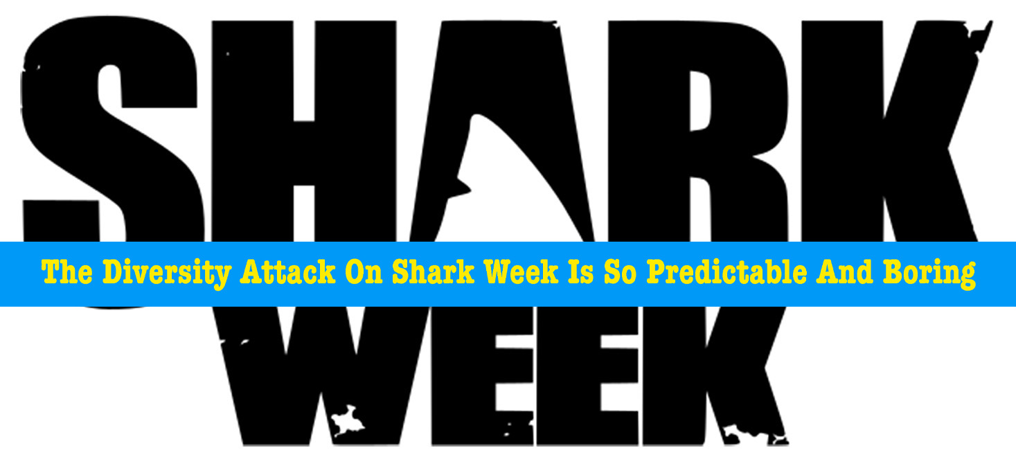 It’s All Shark Weeks Fault